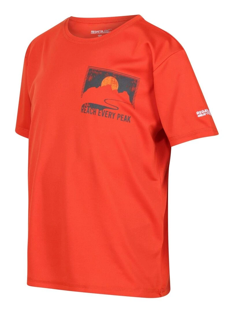 Regatta   T shirt ALVARADO   Rouge brique