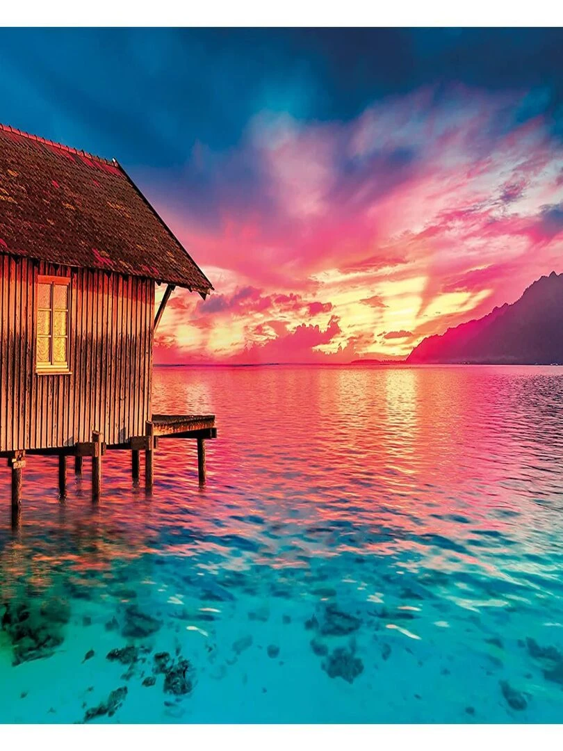 Peace Puzzle 500 pièces Living the Present N/A