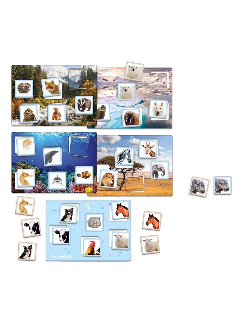 Jeu de loto : Où vivent ils ?   Play for Future   N/A