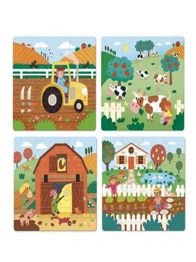 4 Puzzles Evolutifs Ferme N/A