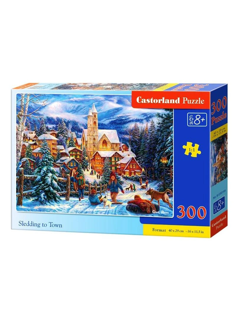 Puzzle 300 pièces : Séance de luge en ville N/A