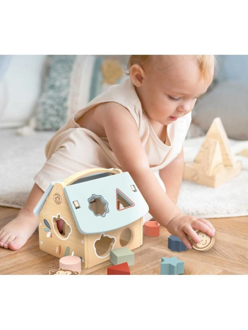 Maison des formes 8 blocs Speedy Monkey N/A