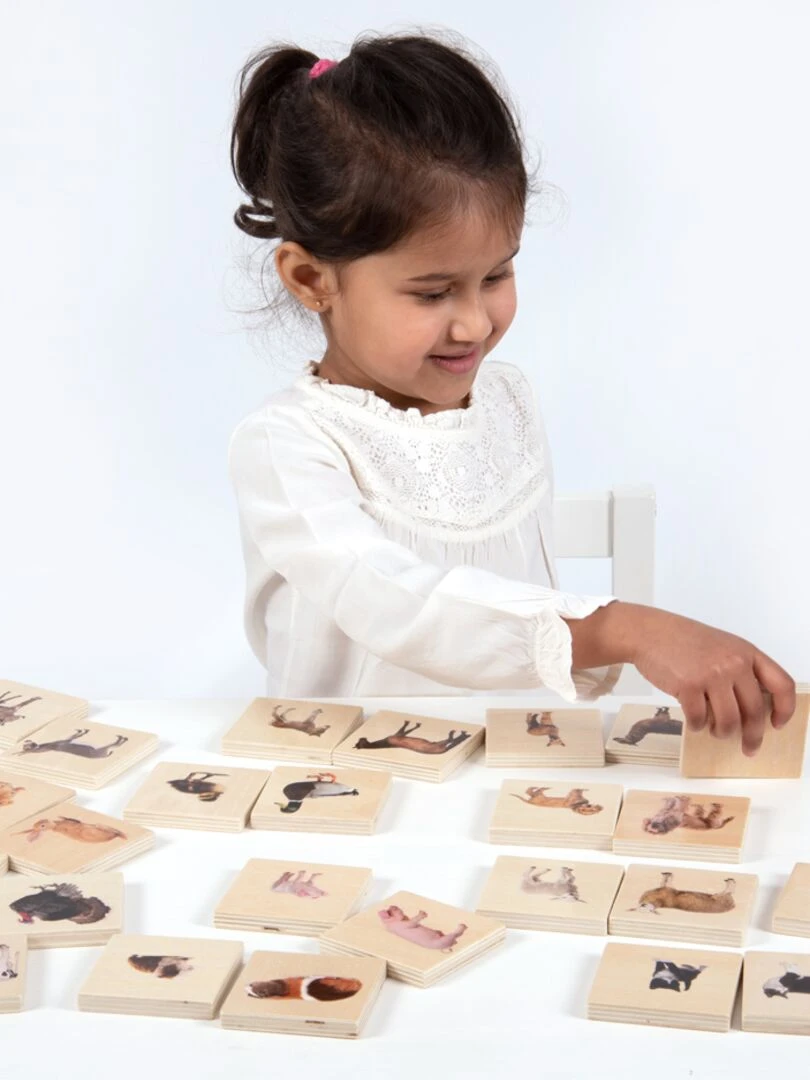Memory animaux domestiques Multicolore