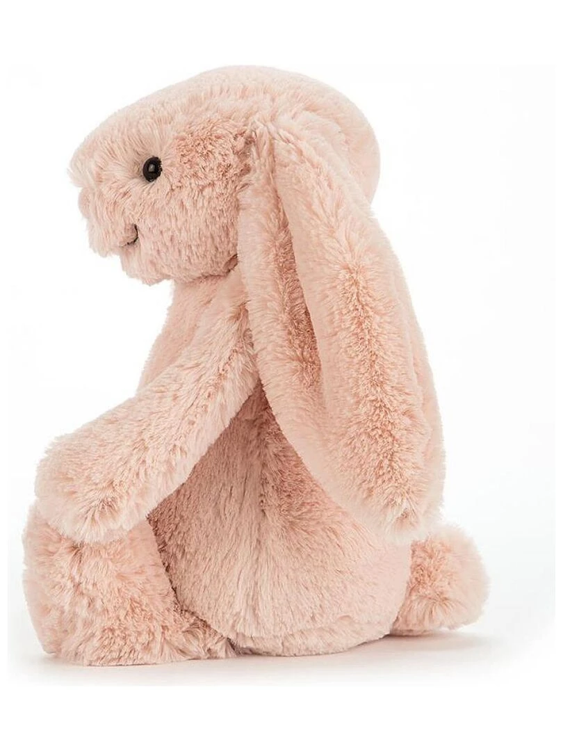 Bashful Blush Bunny Little   Rose