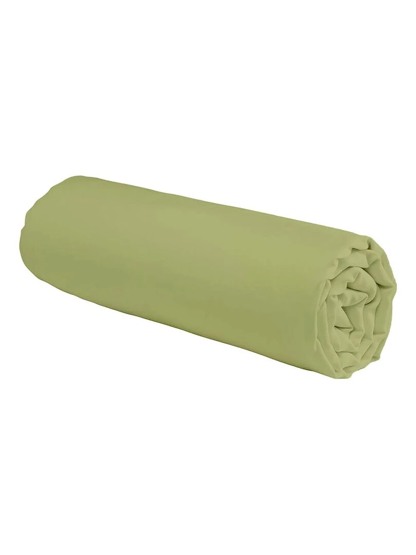 Future Home Drap housse en coton 57 fils uni Vert