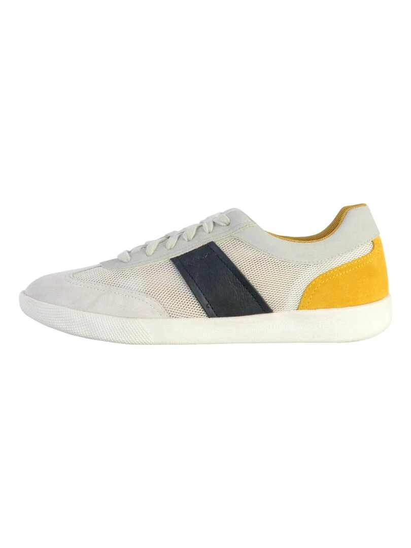 Basket Cuir Geox U Rieti Mesh Multicolore
