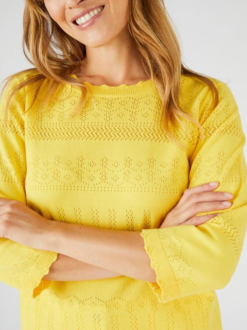 Pull ajouré en coton majoritaire Damart Jaune paille