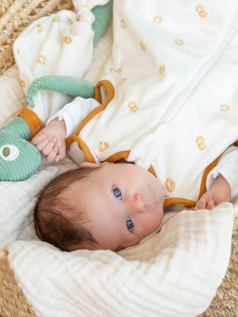 Doudou bébé Dino le dinosaure N/A