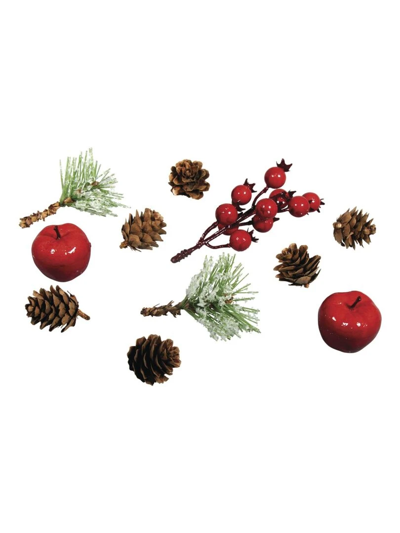 Décorations naturelles automne et Noël 11 Cônes pommes et baies N/A
