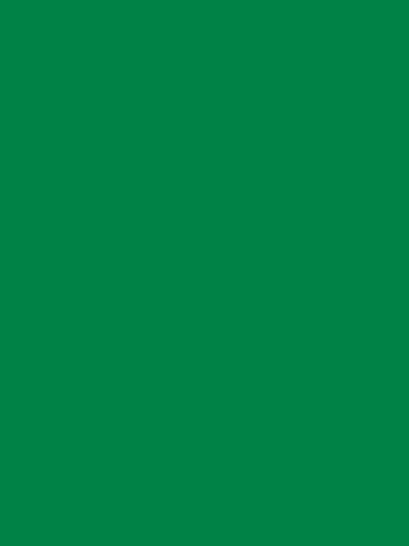 Peinture acrylique opaque mate Vert amazonie 45 ml N/A