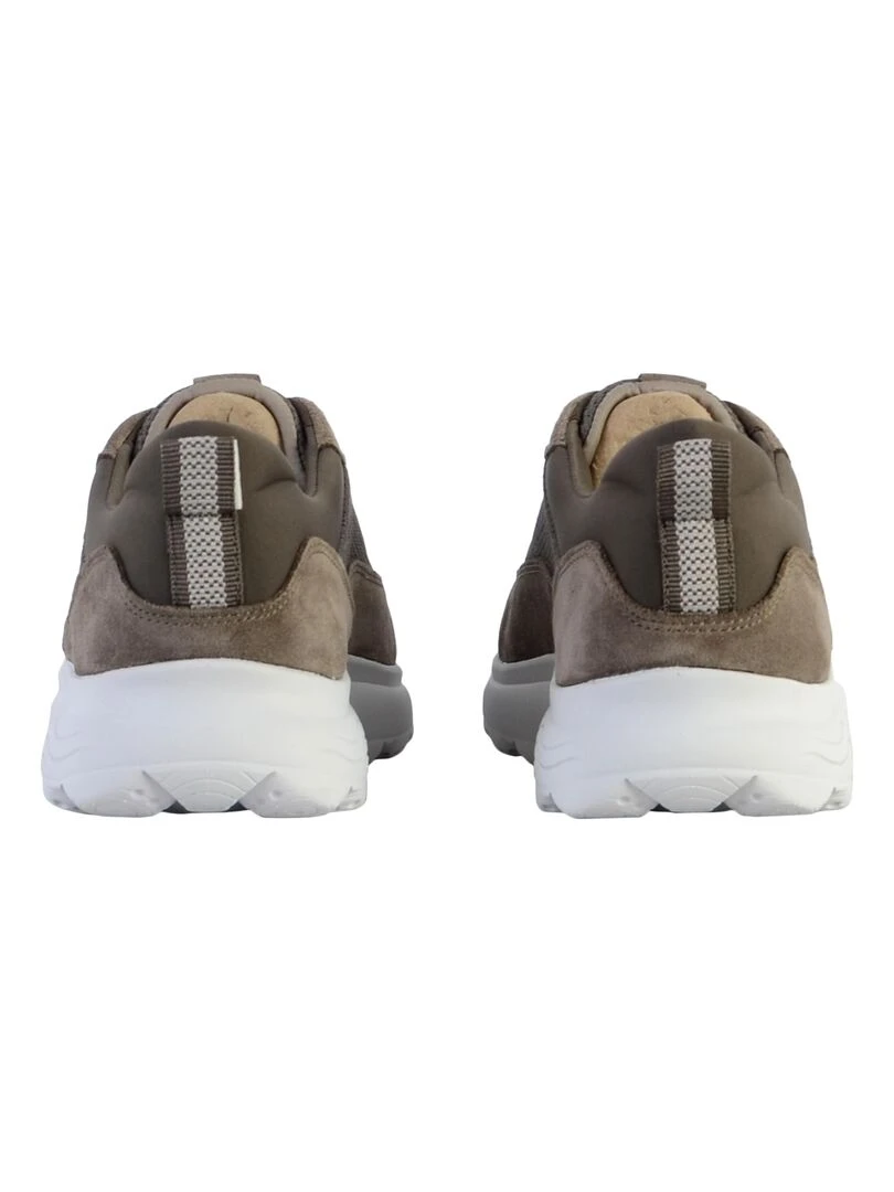 Basket Cuir Geox U Spherica B   Gris