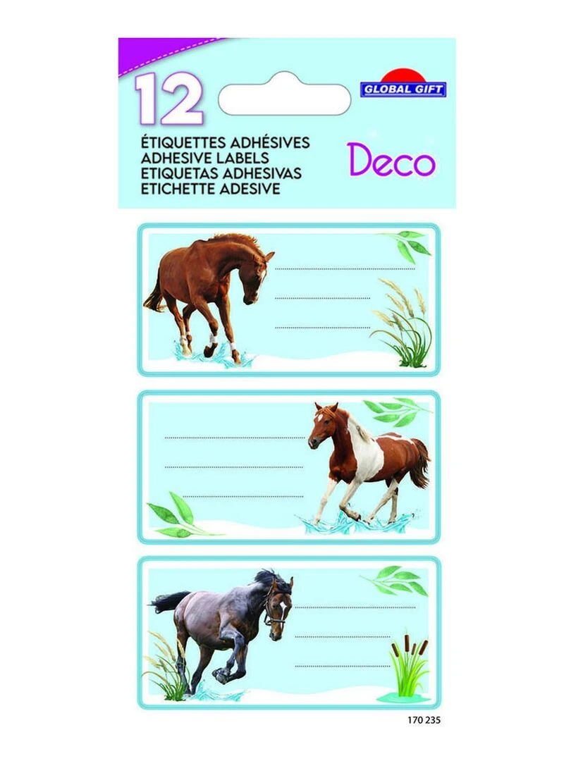 12 étiquettes adhésives scolaires Rectangle Photos de chevaux N/A