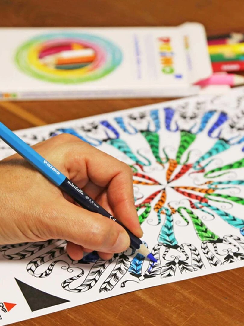 12 crayons de couleur Minabella bicolores N/A