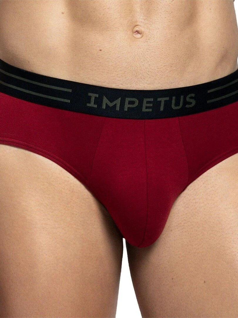 Pack de 2 slips unis en coton Majestic Rouge