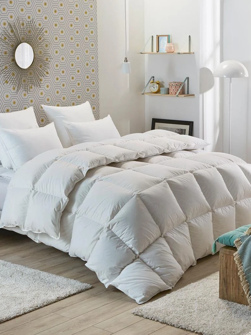 DODO Couette Tradition CHAUDE 50% Duvet de Canard Blanc
