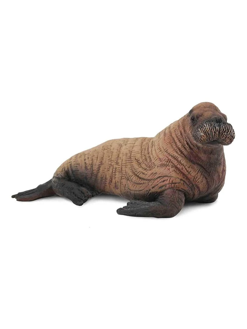 Figurine animaux marins : Bébé morse N/A