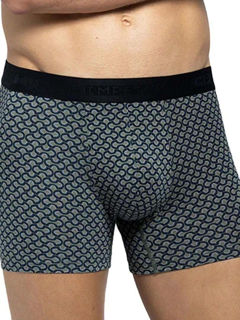 Boxer Dauville pour homme coton et modal Vert