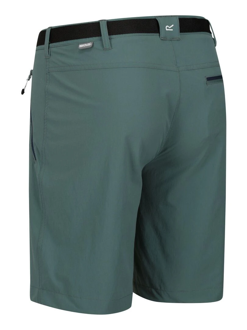 Regatta   Short XERT   Vert foncé
