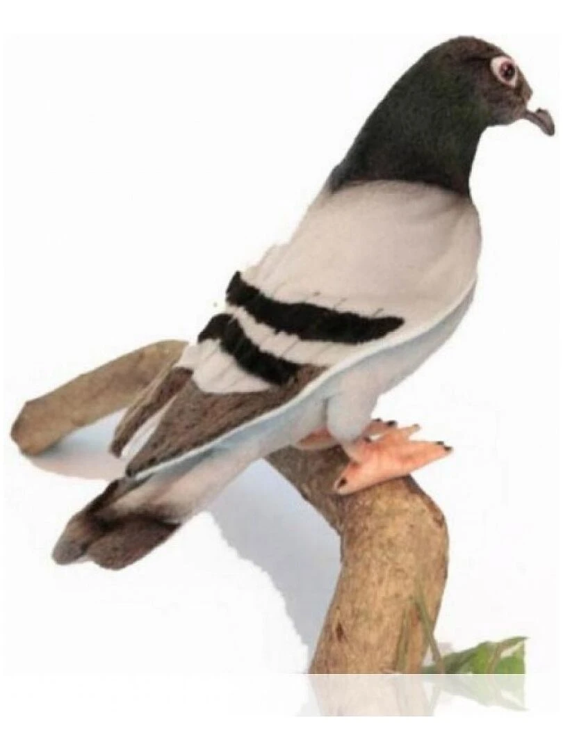 Pigeon Voyageur 20cm Beige