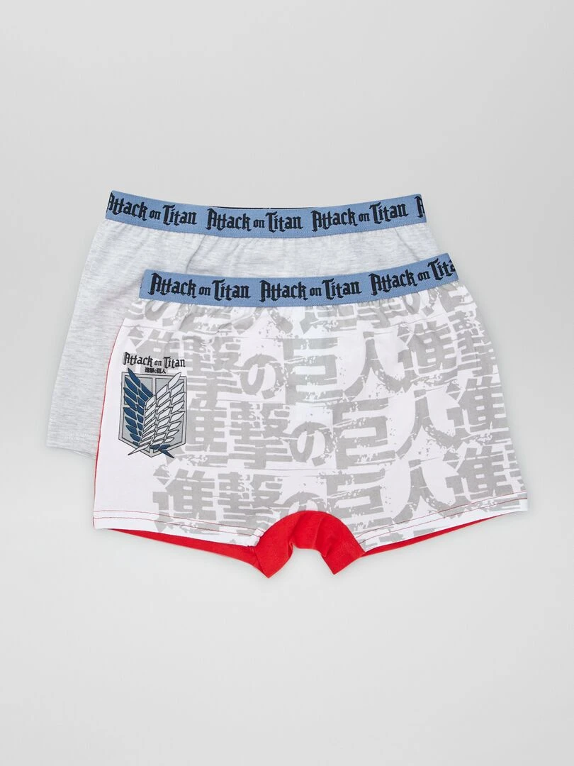 Lot de 2 boxers 'L'attaque des titans' Gris