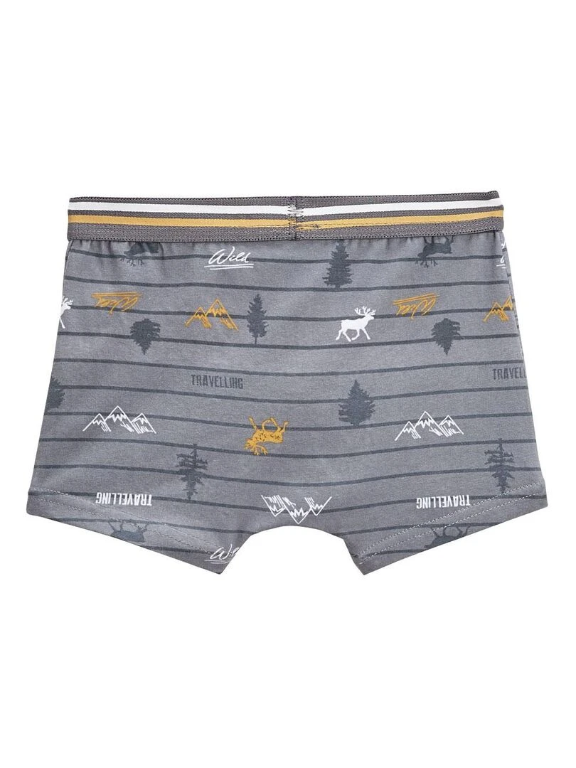 Lot de 2 boxers garçon Tikam   Gris