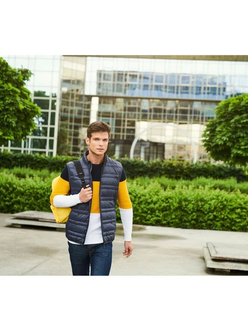 Regatta Gilet sans manches FIRE Gris souris