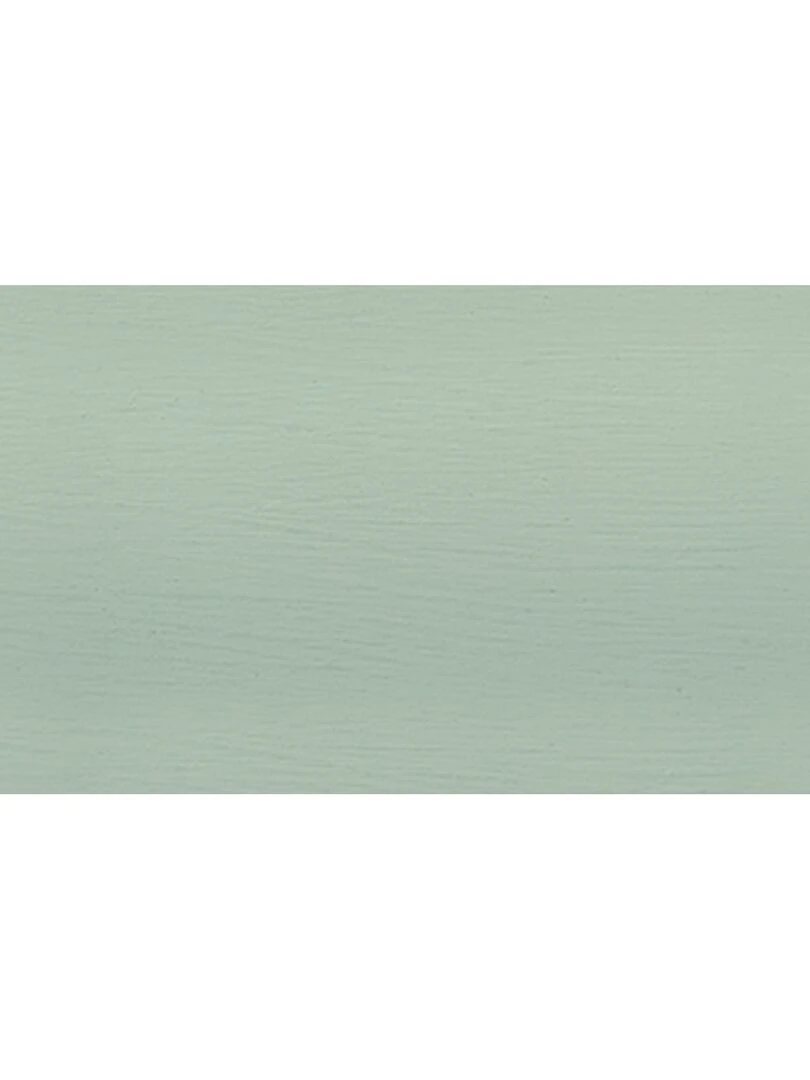 Peinture Craie Vert pastel Chalky Finish 100 ml N/A