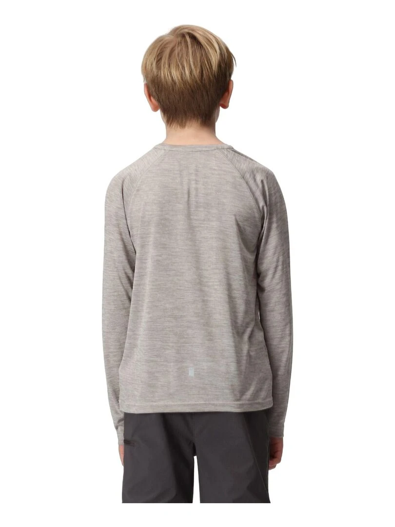 Regatta T shirt BURNLEE Gris Argenté