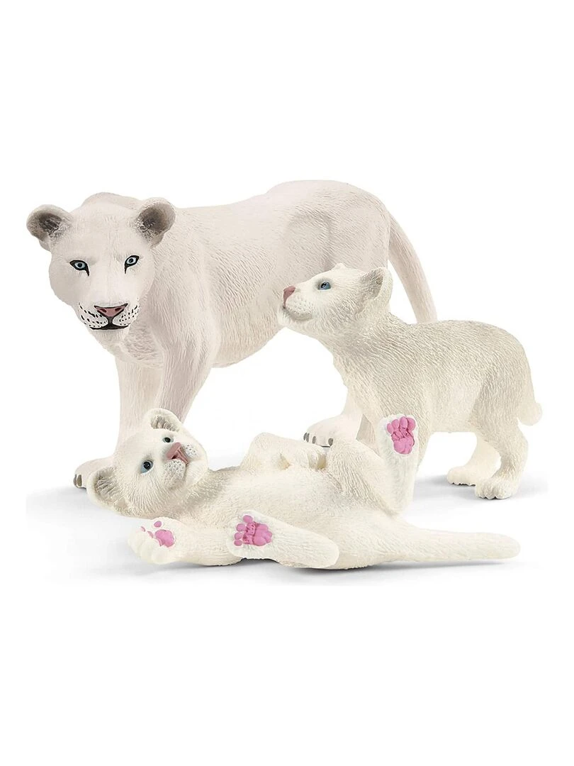 Lionne avec bébés   N/A