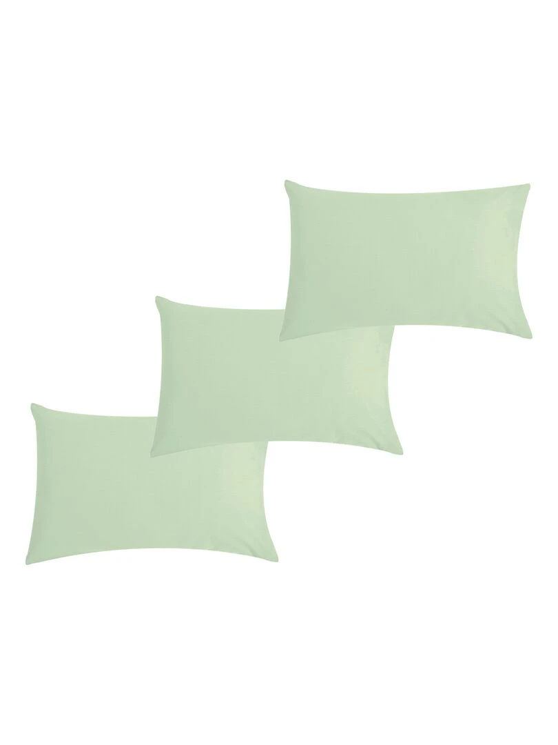 Lot x3 Taies d'oreiller 40x60 cm 100% coton Bio 'Ptit Basile' Vert d'eau