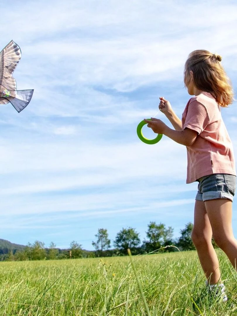 Cerf volant aigle   Marron