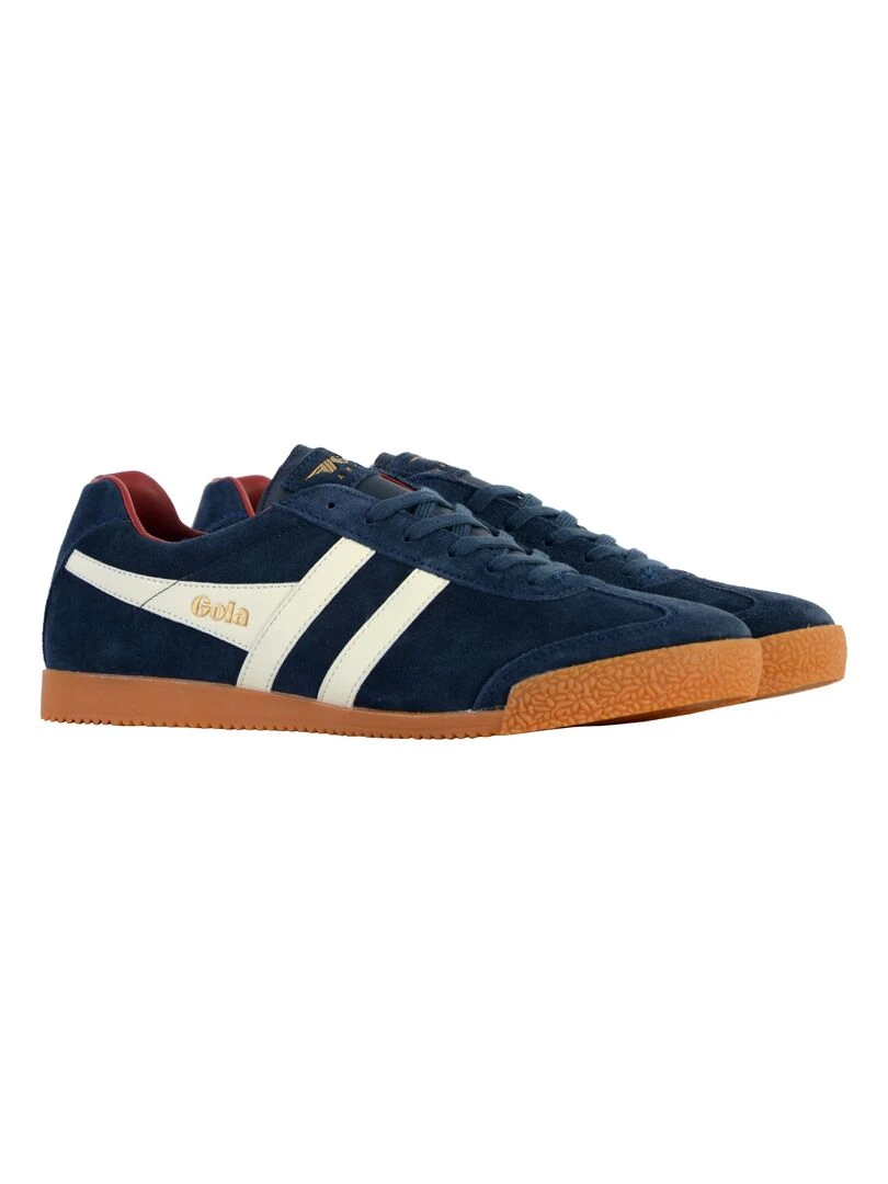 Basket Gola Harrier Suede   Bleu marine