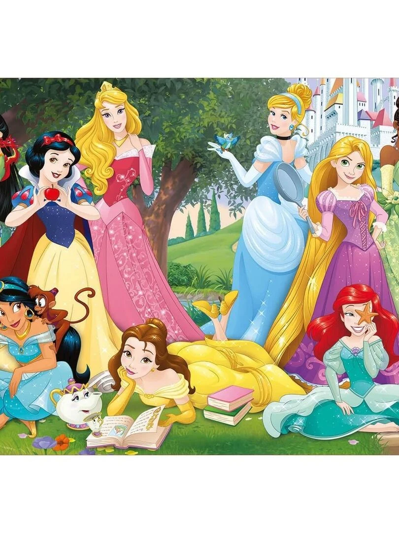 Puzzle 500 pièces : Princesses Disney N/A