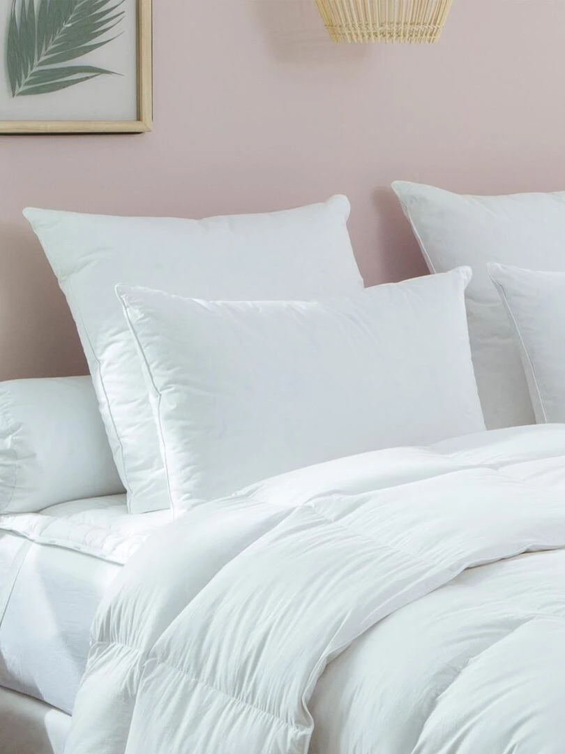 DODO Oreiller naturel 70% duvet de Canard Blanc