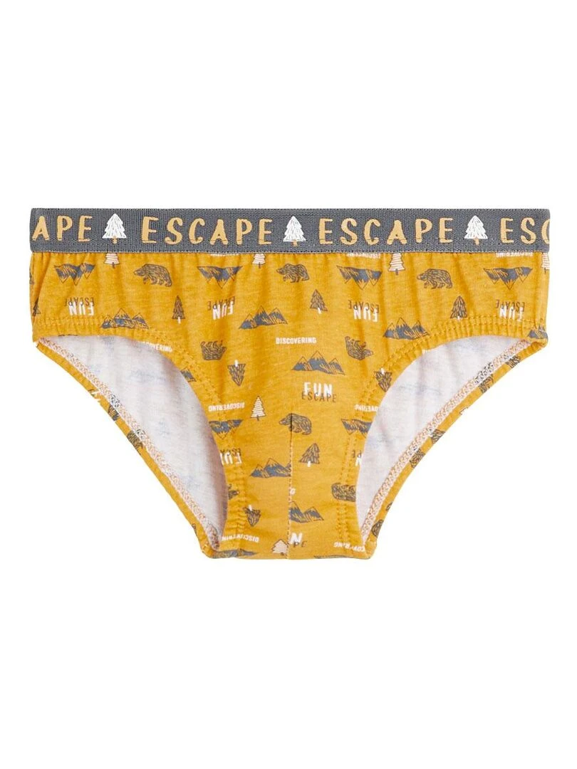 Lot de 3 slips garçon Tiboum Jaune