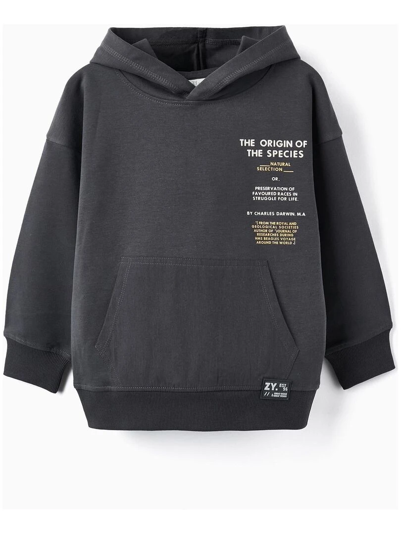 Sweat en Coton pour Garçon 'Species' GREAT GOALS GREAT WORLD Gris foncé