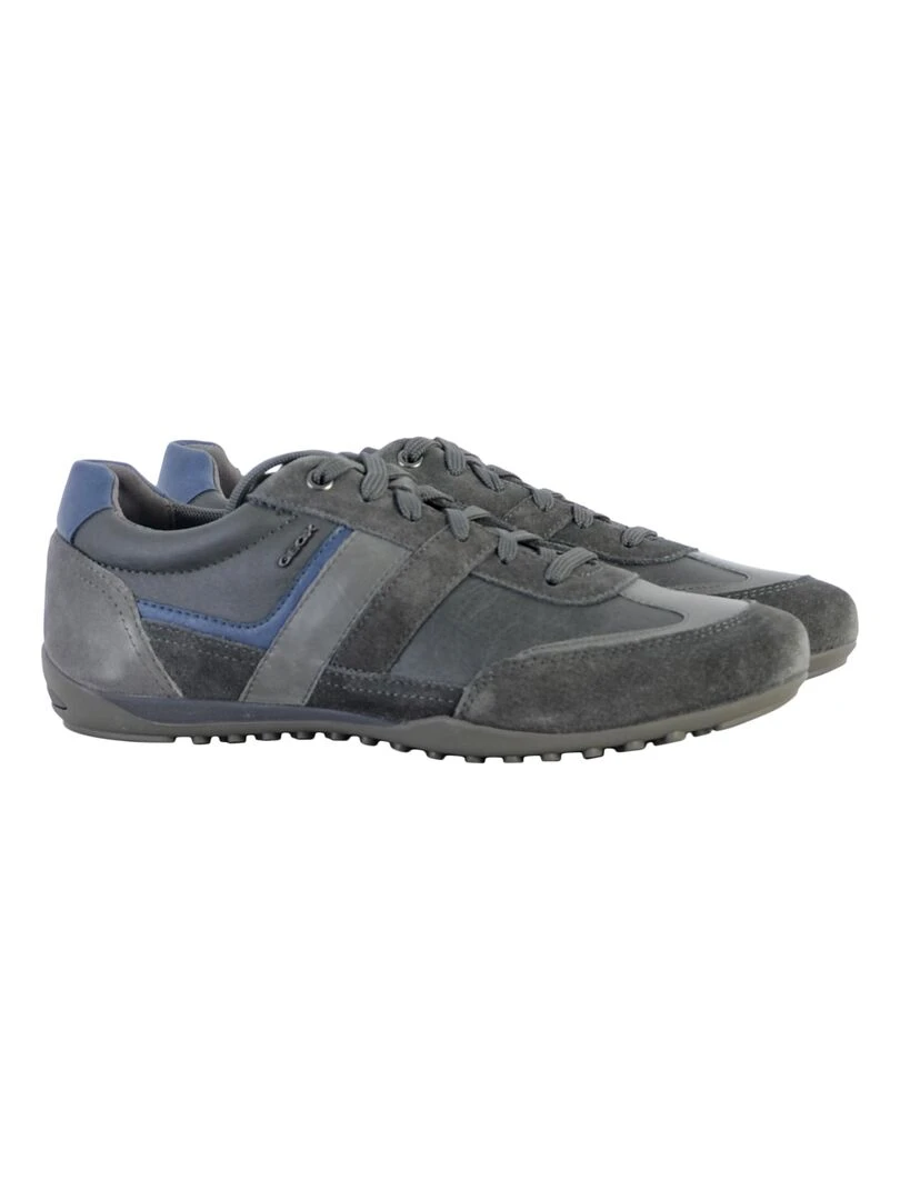 Basket Cuir Geox Wells   Gris
