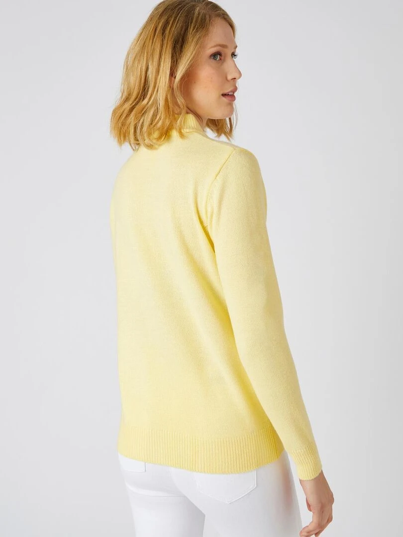 Pull col montant boutonné   Damart   Jaune pâle