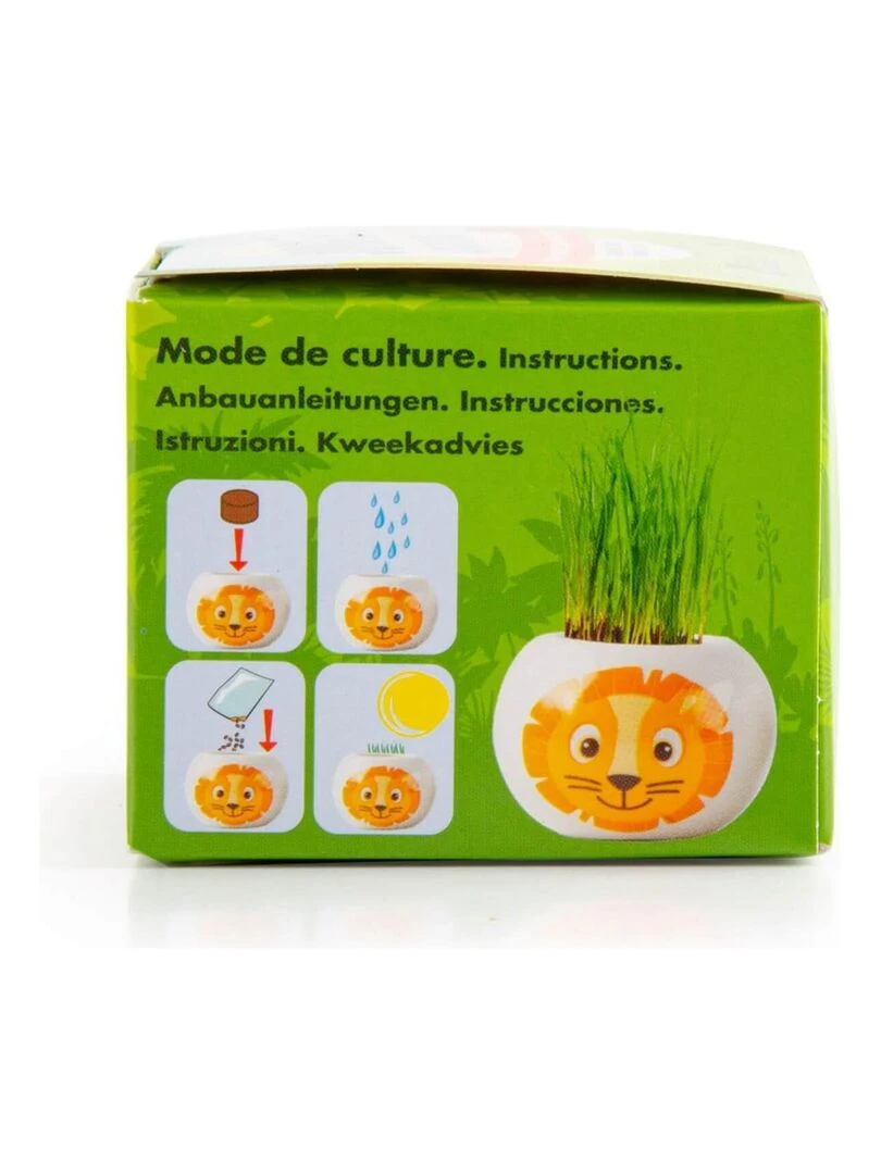 Kit jardinage : céramique Lion   N/A