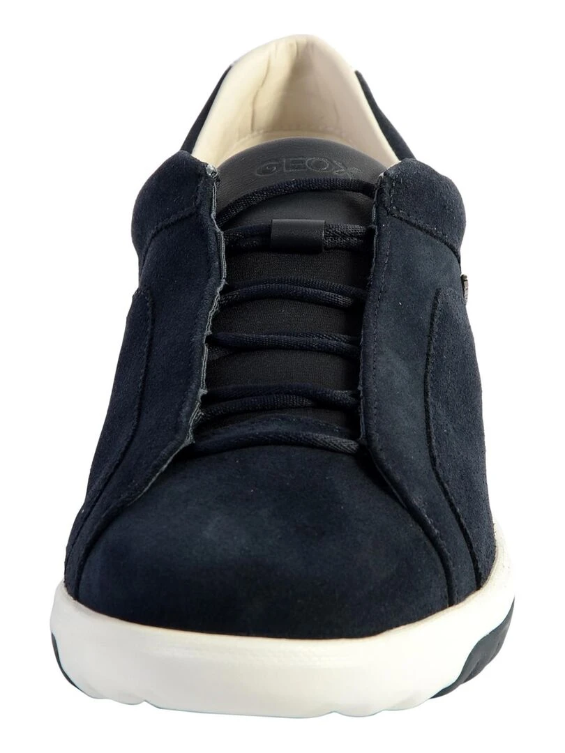 Basket Geox U Nexside A   Suede   Bleu