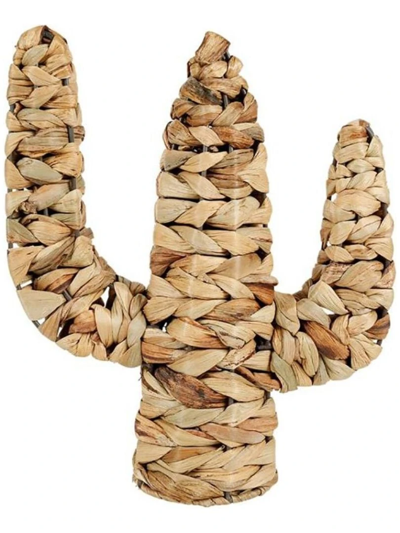 Cactus rotin naturel Beige