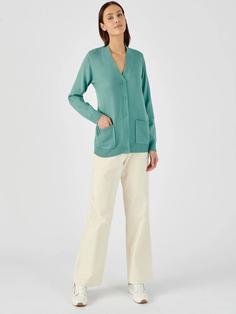 Gilet classique maille jersey Damart Vert clair