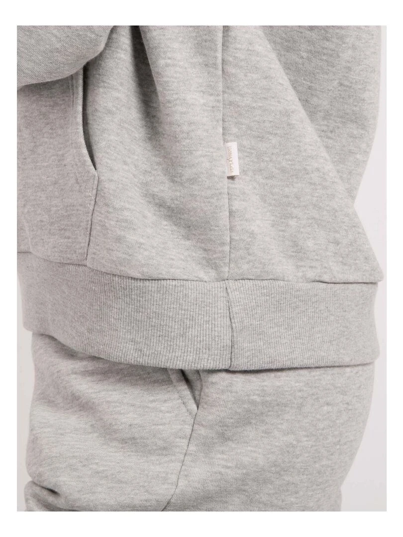 Sweatshirt capuche YLONA   Gris