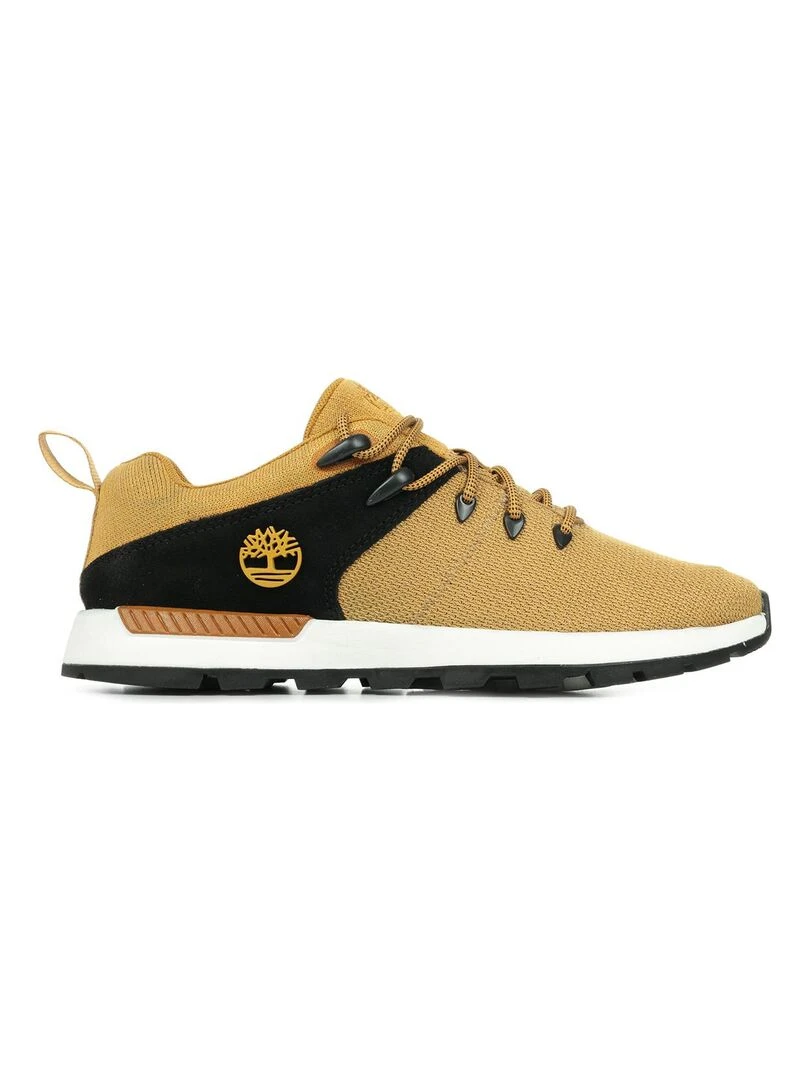 Baskets Timberland Sprint Trekr Low Knit Marron