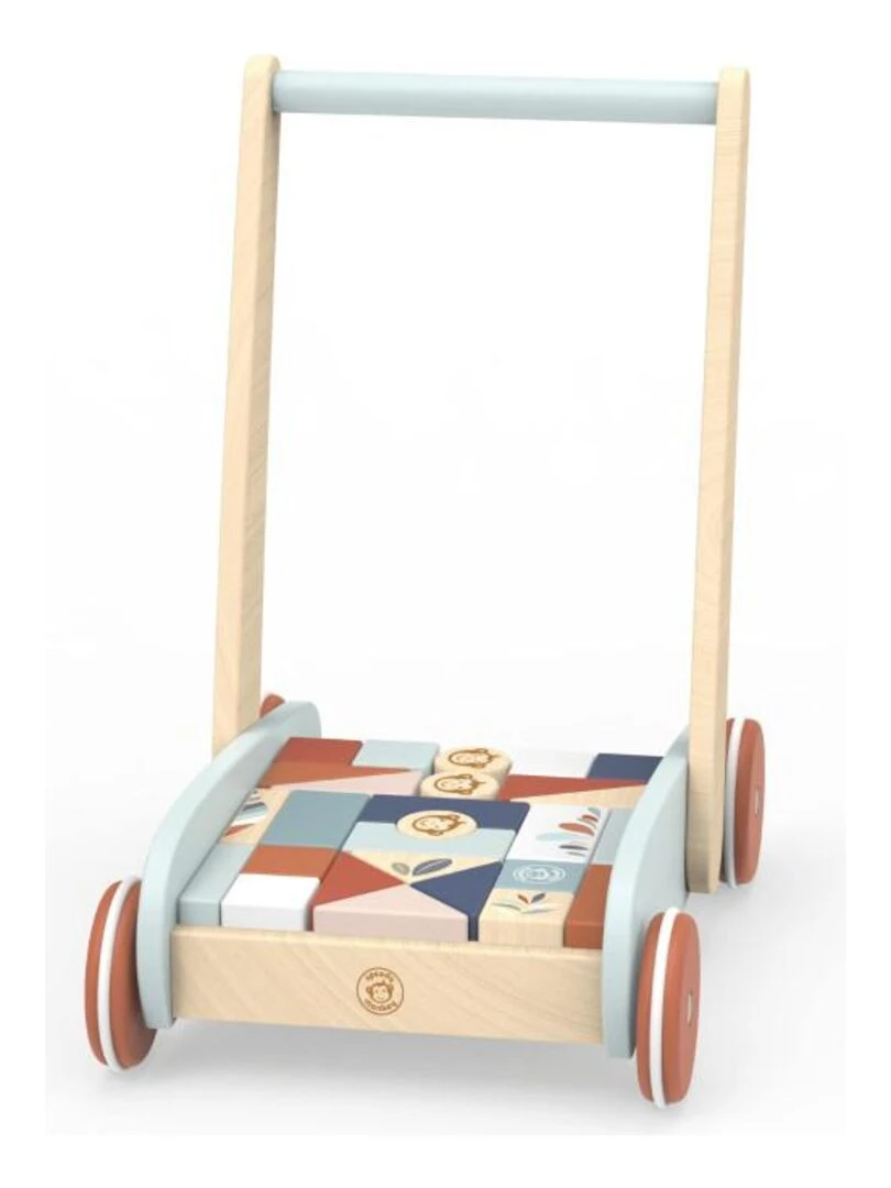 Chariot de marche et jeu des formes 27 blocs Speedy Monkey N/A