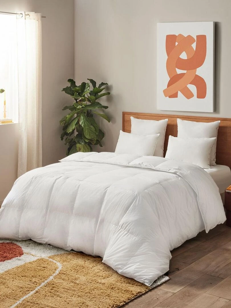 DUNLOPILLO Couette Natur' Protect 70% Duvet Chaude Blanc