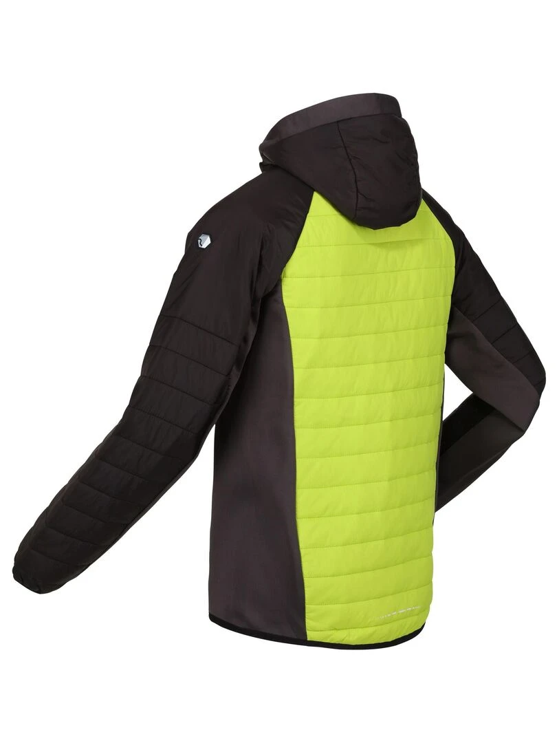 Regatta   Veste softshell TRUTTON   Gris Vert