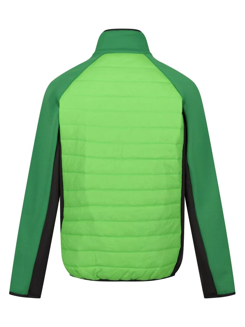 Regatta Veste hybride CLUMBER Vert clair