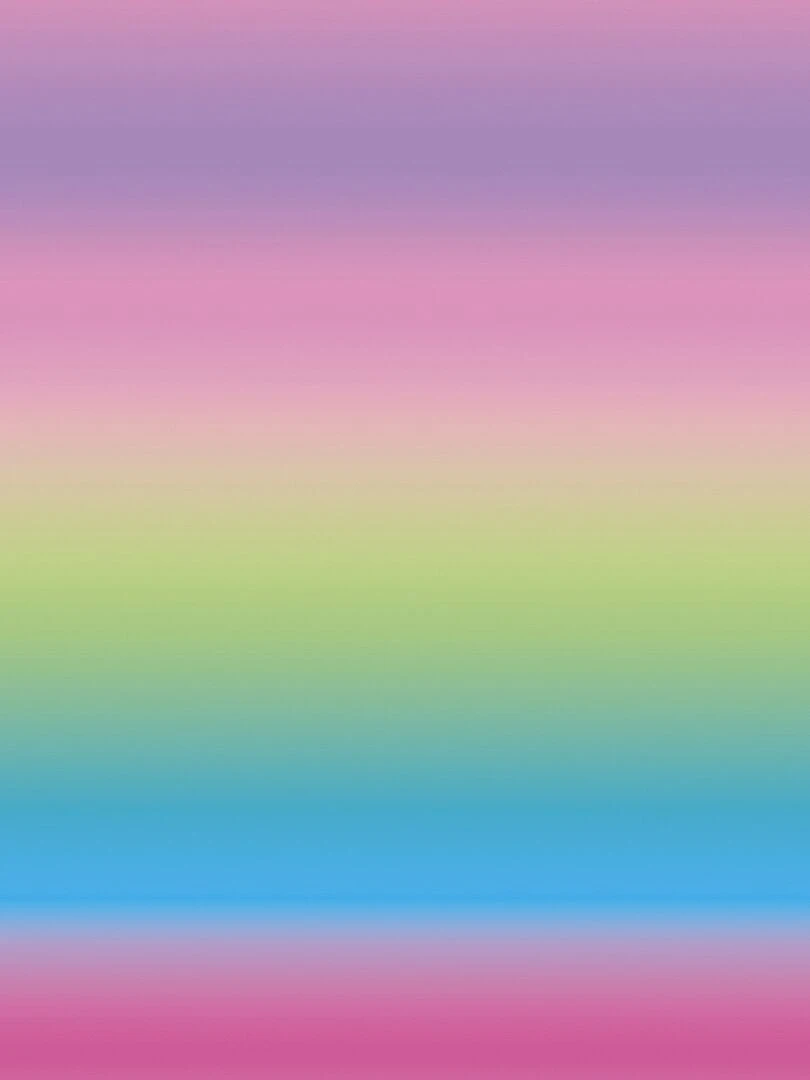 6 Feuilles de transfert   Sirène + Arc en ciel   30 5 x 30 5 Cm Cricut   N/A