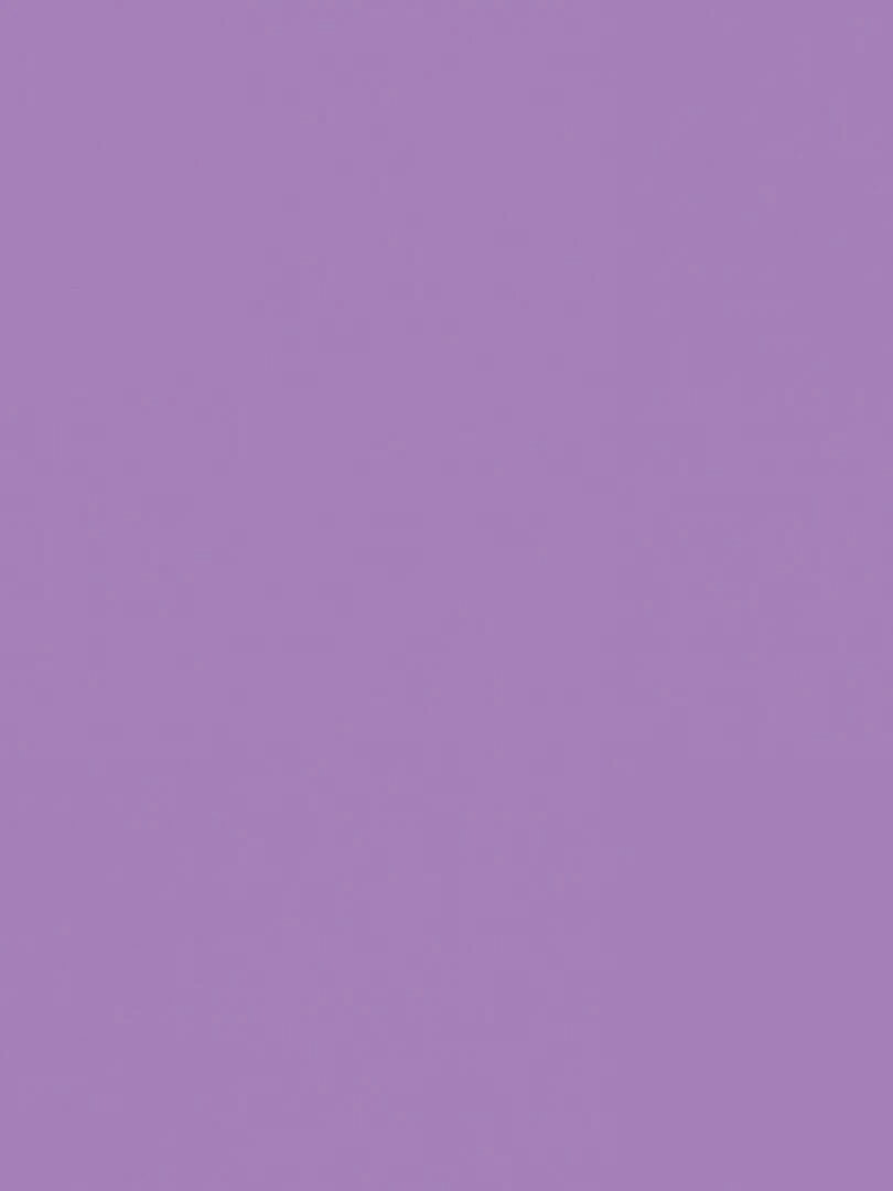 Gouache en poudre   100 g   Violet   N/A